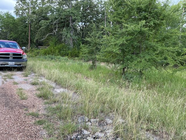 175 Chillacothe Trail, Mabank, TX 75156