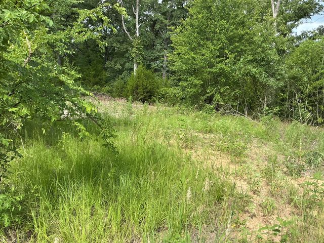175 Chillacothe Trail, Mabank, TX 75156