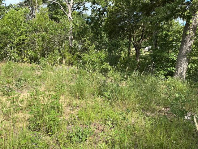 175 Chillacothe Trail, Mabank, TX 75156