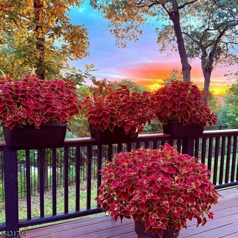 1530 Mountain Top Rd, Bridgewater Twp., NJ 08807