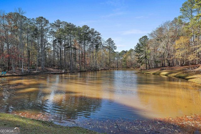 337 Andrew Bailey Road, Sharpsburg, GA 30277