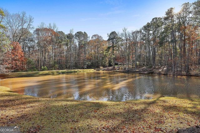 337 Andrew Bailey Road, Sharpsburg, GA 30277
