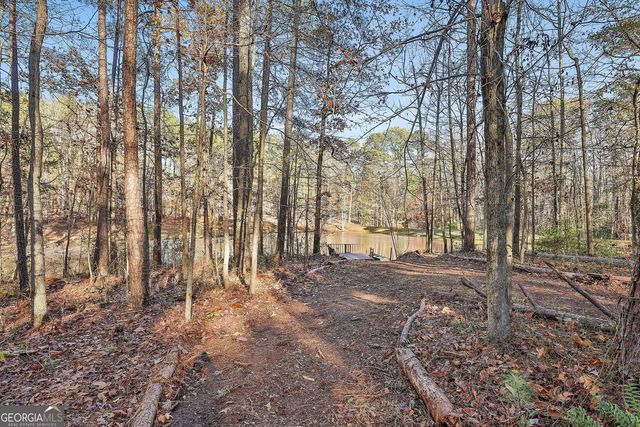 337 Andrew Bailey Road, Sharpsburg, GA 30277