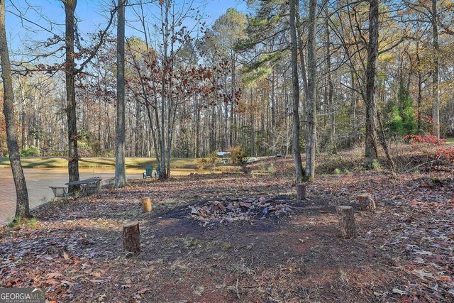 337 Andrew Bailey Road, Sharpsburg, GA 30277
