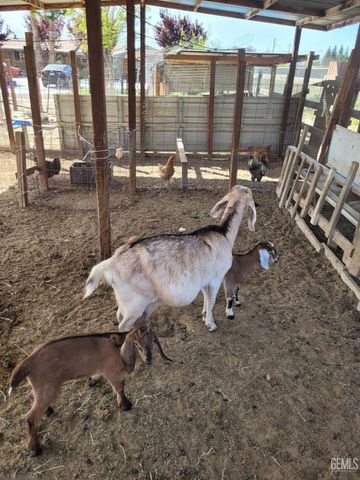 5501 Judd Street, Bakersfield, CA 93314