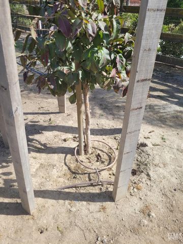 5501 Judd Street, Bakersfield, CA 93314