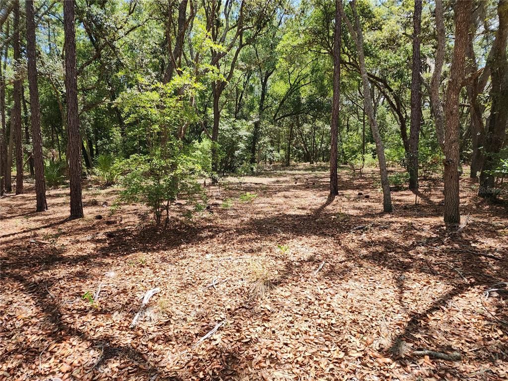 3775/3787 S OSPREY POINT, Inverness, FL 34450