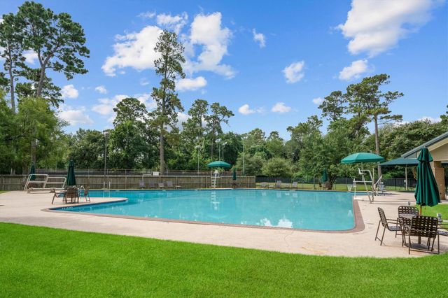 17319 Cypress Spring Drive, Spring, TX 77388