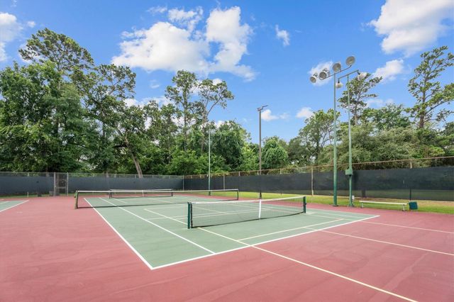 17319 Cypress Spring Drive, Spring, TX 77388