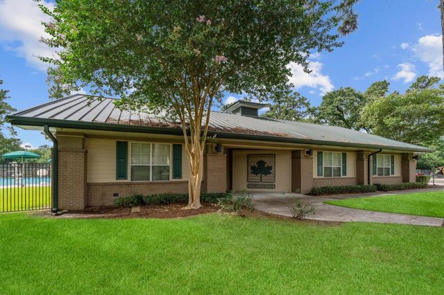 17319 Cypress Spring Drive, Spring, TX 77388