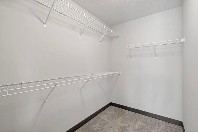 13566 Blackbird Way, Rosemount, MN 55068