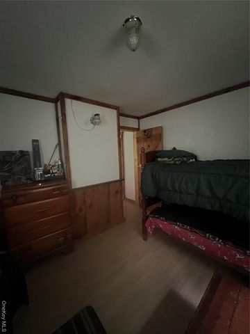 80 Hunter Lane, Wassaic, NY 12592