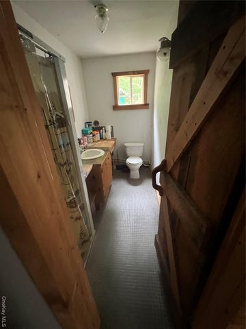 80 Hunter Lane, Wassaic, NY 12592