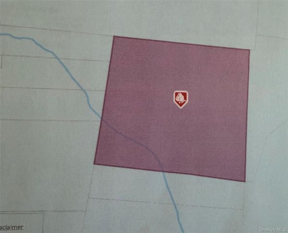 80 Hunter Lane, Wassaic, NY 12592