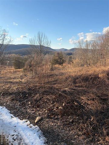 80 Hunter Lane, Wassaic, NY 12592