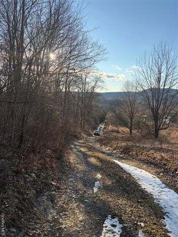 80 Hunter Lane, Wassaic, NY 12592