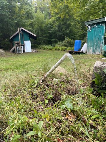 80 Hunter Lane, Wassaic, NY 12592