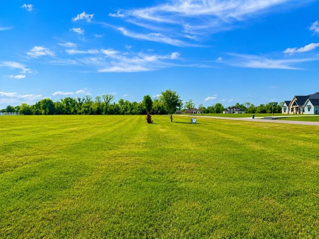 443 Lakeview Drive, Angleton, TX 77515