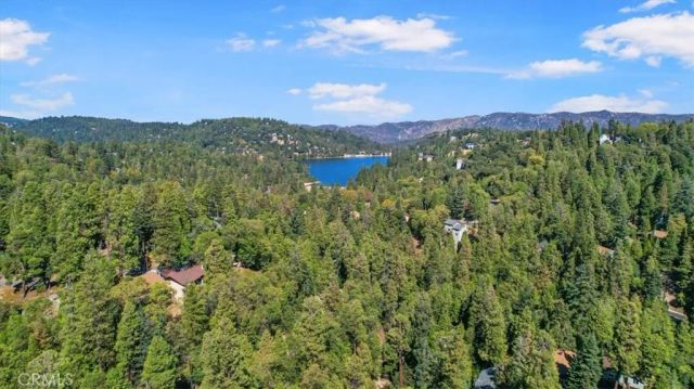 25172 Moon Drive, Crestline, CA 92325