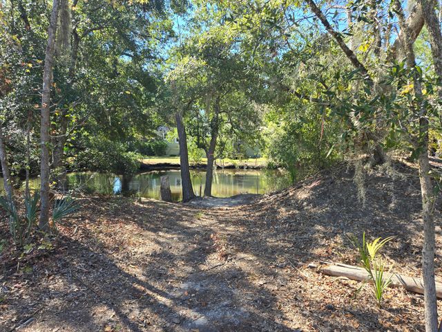 2923 Zachary George Lane, Johns Island, SC 29455