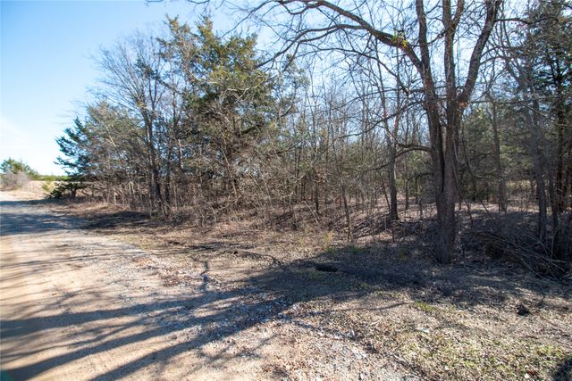 Lot 3 County Road 2905, Dodd City, TX 75438