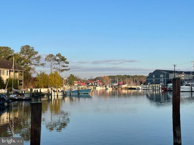 216 E CHEW AVE, Saint Michaels, MD 21663