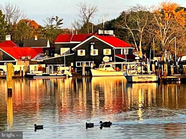 216 E CHEW AVE, Saint Michaels, MD 21663