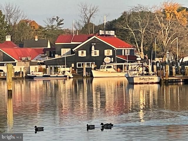 216 E CHEW AVE, Saint Michaels, MD 21663