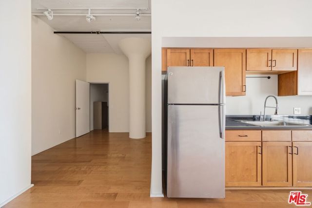 420 S San Pedro Street 509, Los Angeles, CA 90013