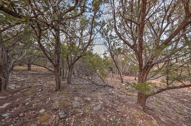 438-1 Yellowstone Lane, Hunt, TX 78024