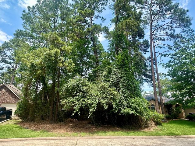 3322 Longfellow Circle, Montgomery, TX 77356