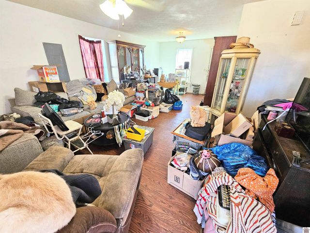 238 skyline dr, Princeton, KY 42445