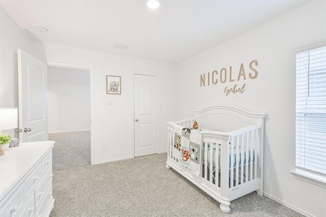 22210 Florence Springs Drive, Hockley, TX 77447