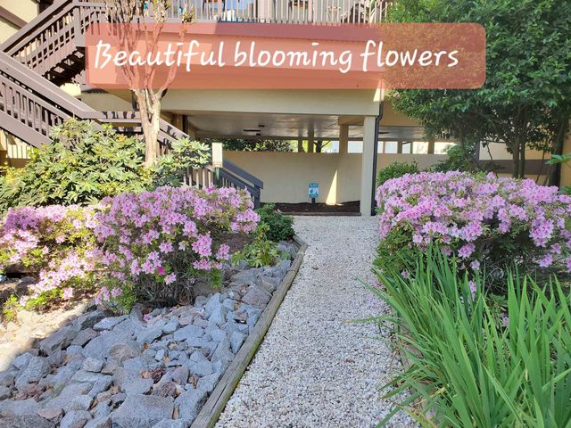 6813 Porcher Dr Apt 21, Myrtle Beach, SC 29572