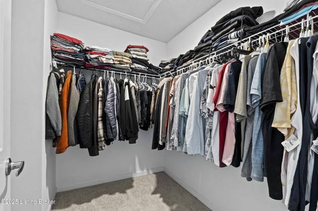 8710 warbler branch Way, Louisville, KY 40229