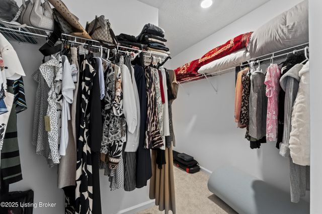 8710 warbler branch Way, Louisville, KY 40229