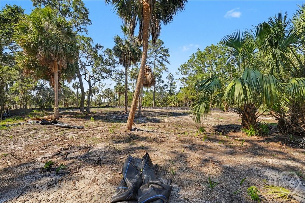 Image 12 of property listing at 8 Liberty Creek Drive, Savannah, GA 31406
