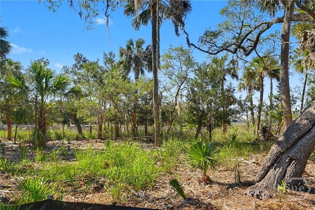 Image 16 of property listing at 8 Liberty Creek Drive, Savannah, GA 31406