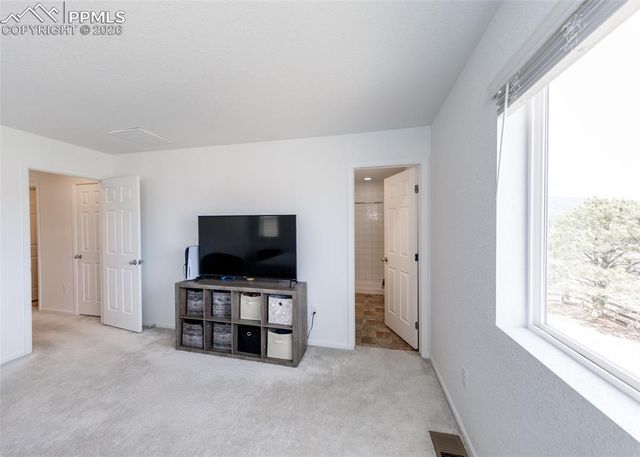 16462 Mountain Flax Drive, Monument, CO 80132