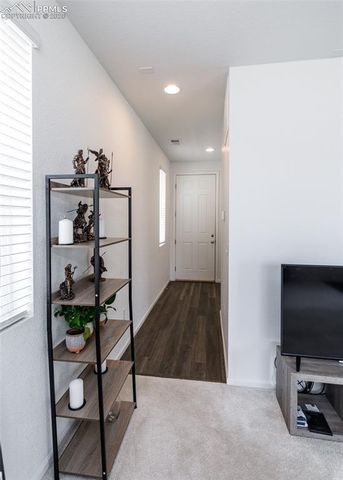 16462 Mountain Flax Drive, Monument, CO 80132