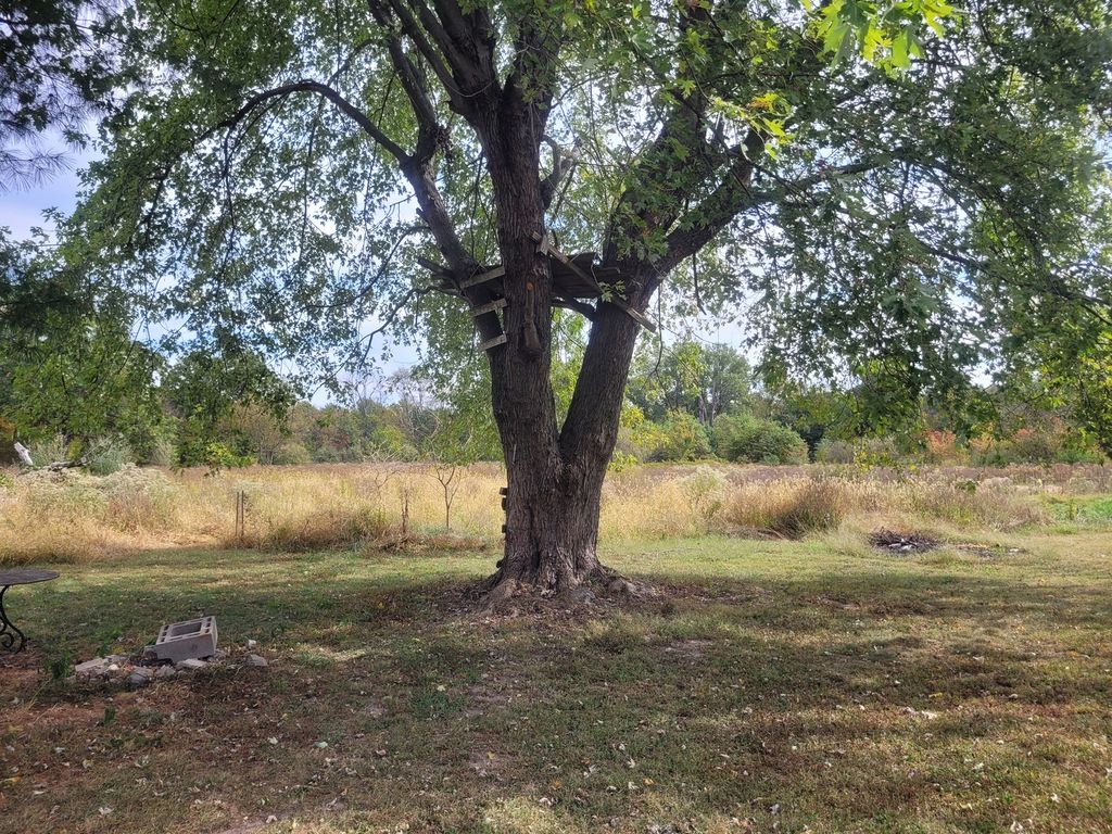 Image 6 of property listing at 10270 N Reynolds Lane, Mt Vernon, IL 62864