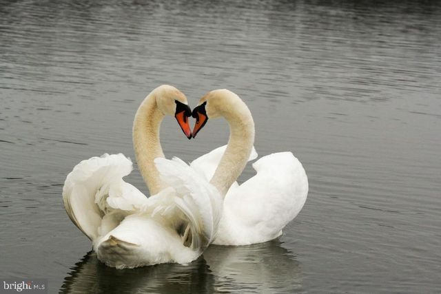 2142 LAKE DR, Pasadena, MD 21122