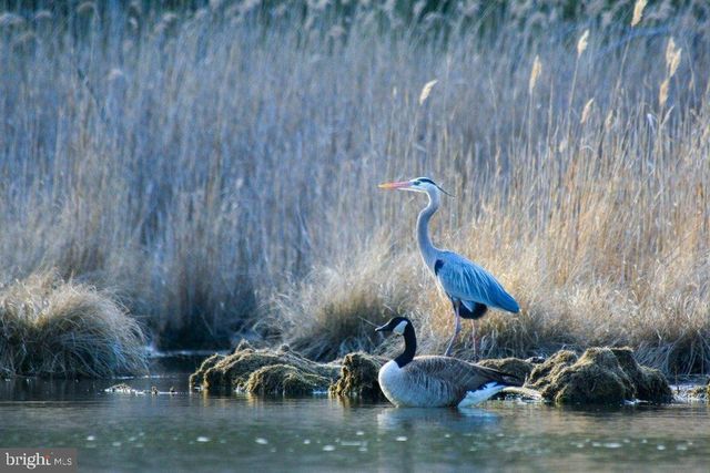 2142 LAKE DR, Pasadena, MD 21122