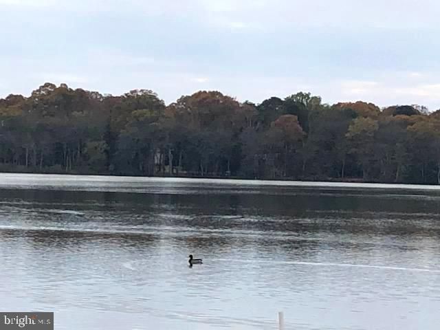 2142 LAKE DR, Pasadena, MD 21122