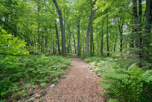 7003 Sanctuary Drive, Jackson, MI 49201