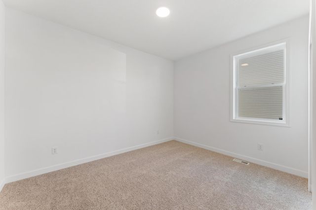 1915 Ravine Road, Carver, MN 55315