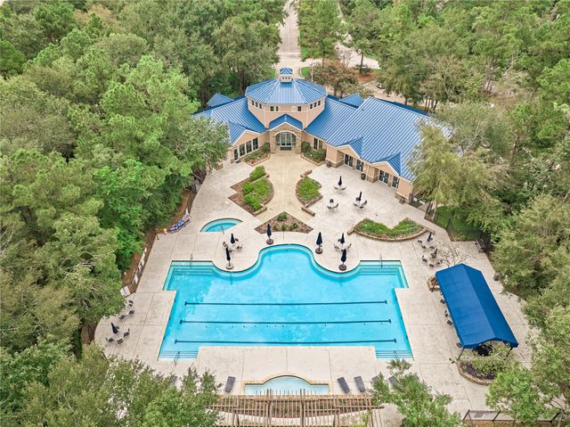 175 W Lilac Ridge Place, The Woodlands, TX 77384