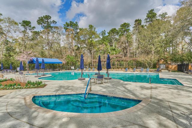 175 W Lilac Ridge Place, The Woodlands, TX 77384