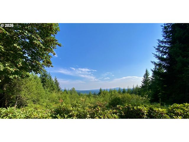 22709 Ne 123RD Cir, Brush Prairie, WA 98606