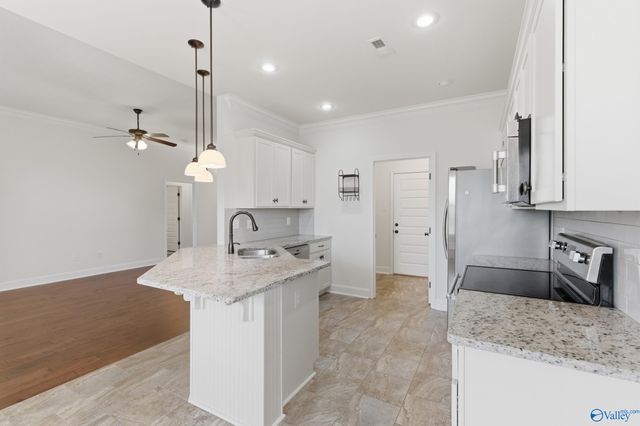 29956 Plantation Park Drive, Harvest, AL 35749